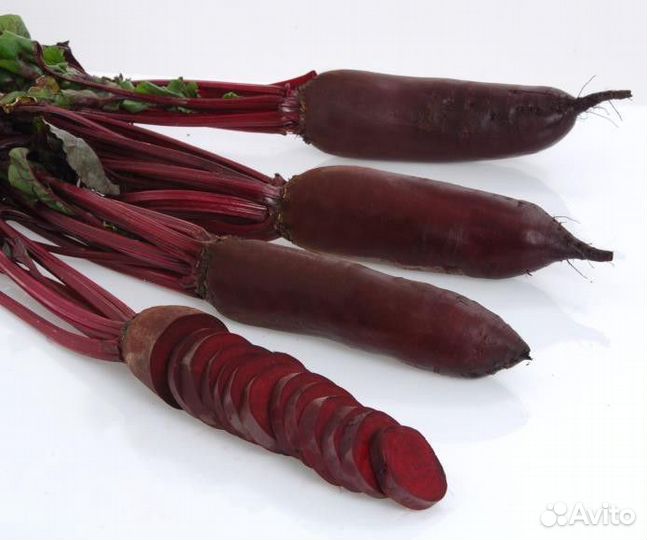 Семена Свёклы 