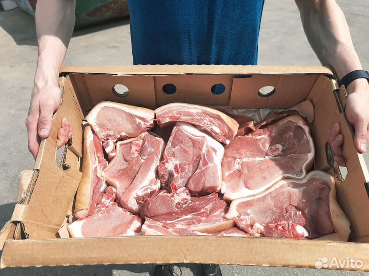 Мясо свинина