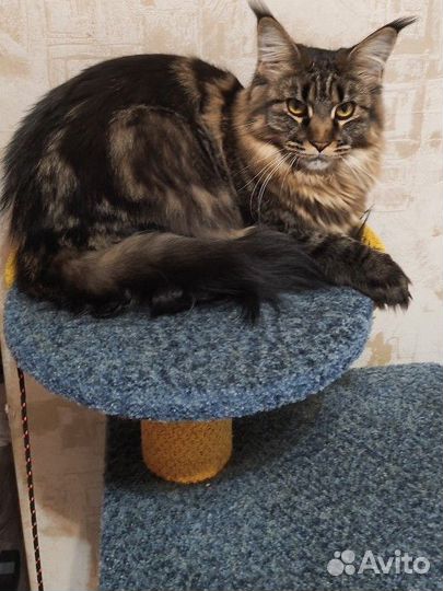 Домик для кошки