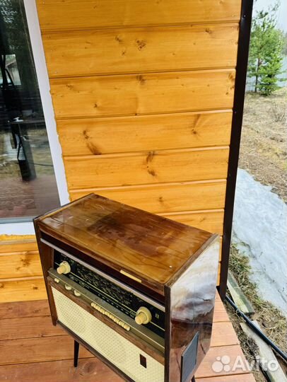 Радиола ригонда