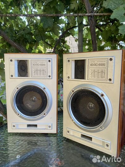 Акустическая система СССР (10ас 225)