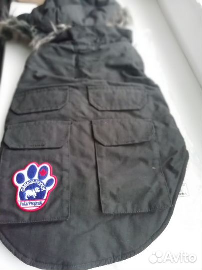 Шлейка для щенка Одежда М