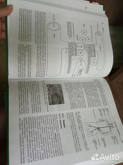 Книги по биологии, 3 тома
