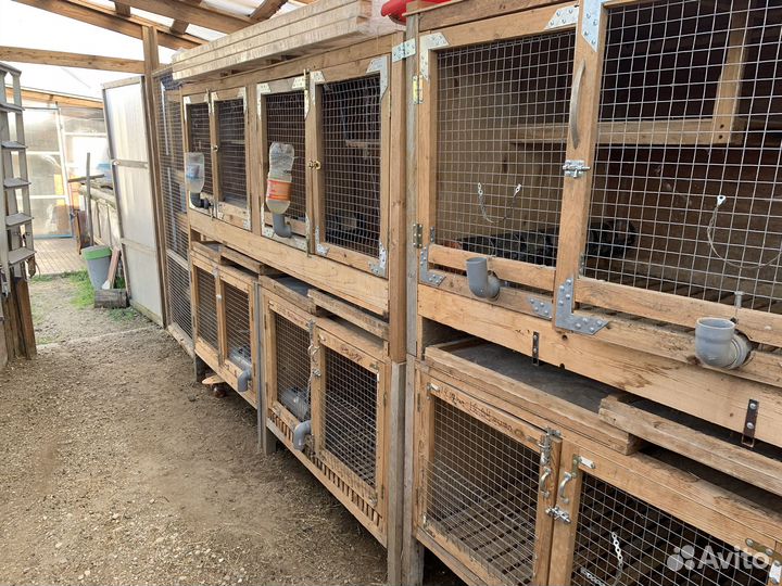 Клетка для домашнего кролика
