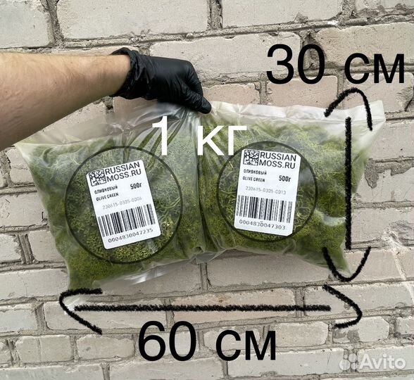 Стабилизированный мох