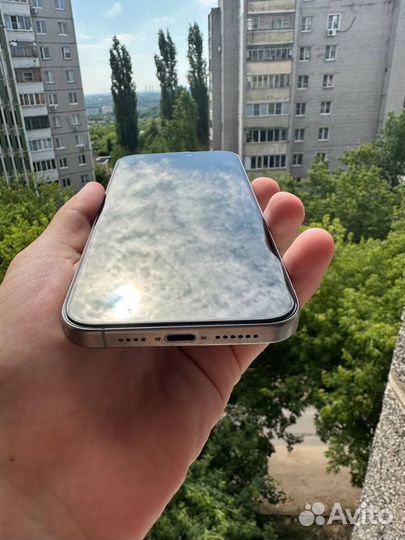 iPhone 15 Pro Max, 256 ГБ