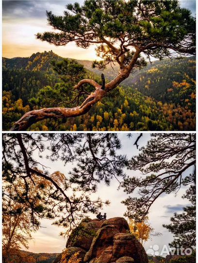 SMC Pentax-M 35mm f2