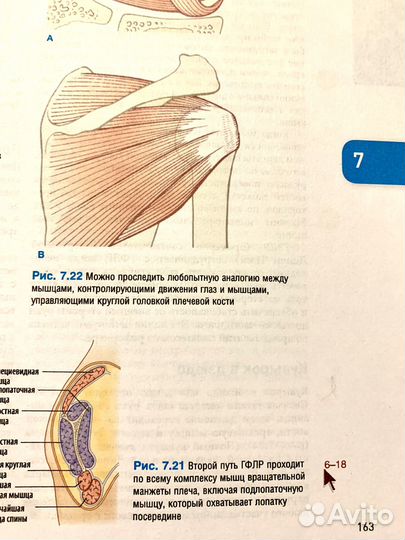Комплект книг 