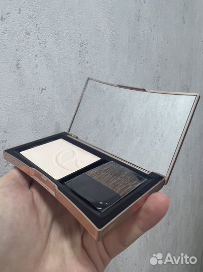 Пудра ives rocher оттенок 100