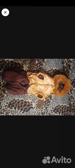 Костюм для собаки