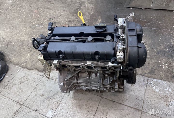 Двигатель форд фокус 3 1.6
