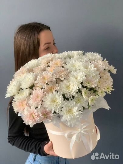 Цветы.Хризантемы.Доставка Цветов