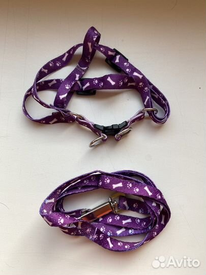 Шлейка с поводок комплект. Ошейник с бубенчиком