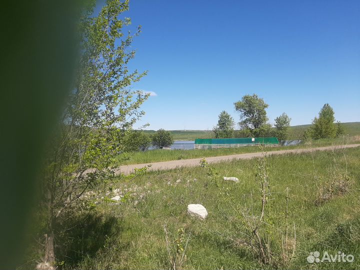 Сок из лопуха