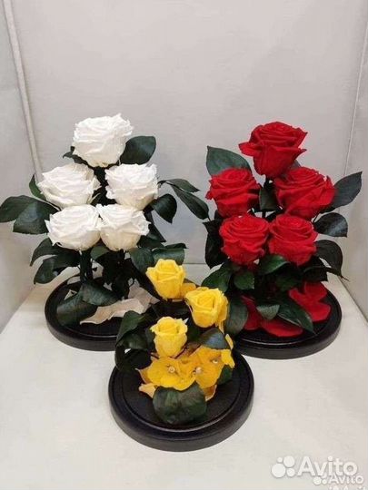 Роза в колбе оптом