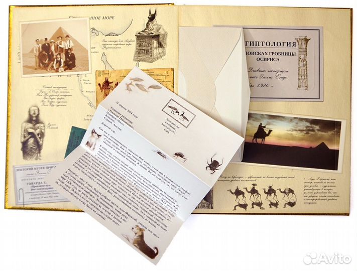 Египтология новая книга