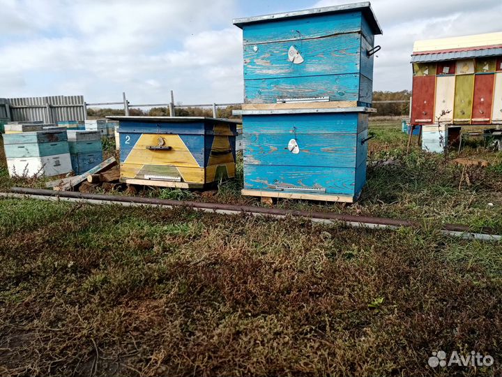 Ульи б\у
