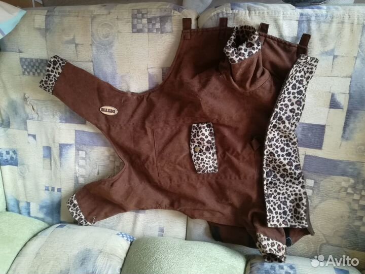 Костюм для таксы