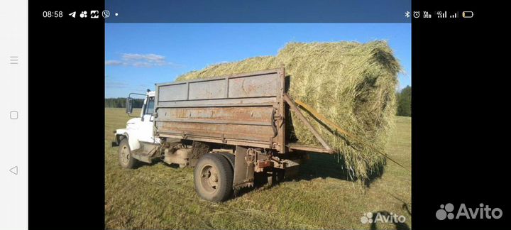 Овёс и зерно