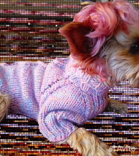 Одежда для собак мелких и средних пород