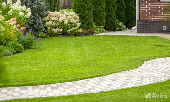 Рулонный газон