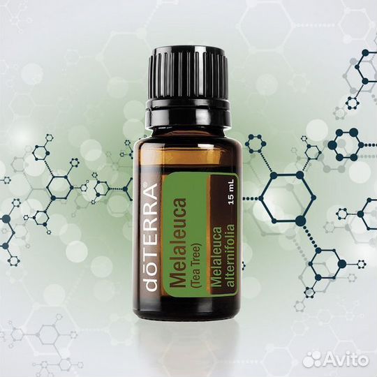 Чайное дерево Дотерра, эфирное масло