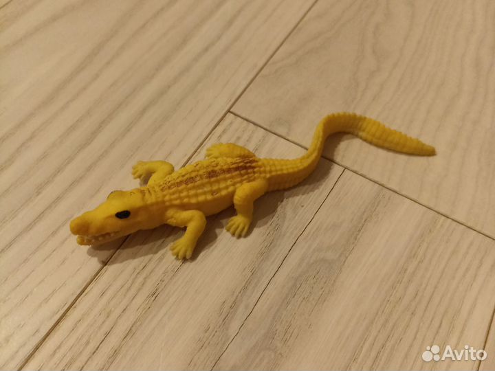 Ящер, меняющий цвет в воде