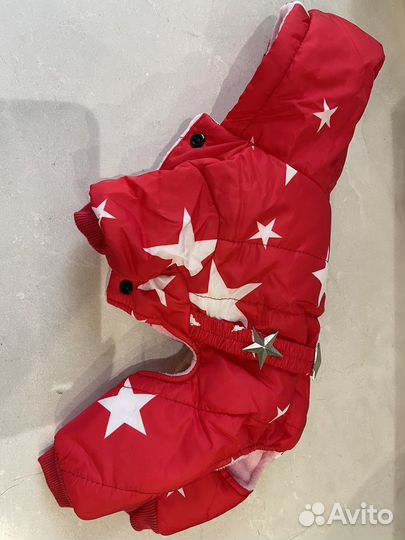 Одежда для собак