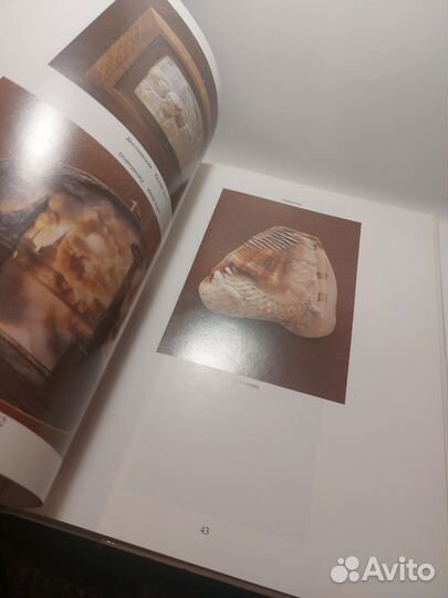 Камеи Петра Зальцмана