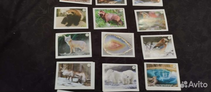 Наклейки монетка