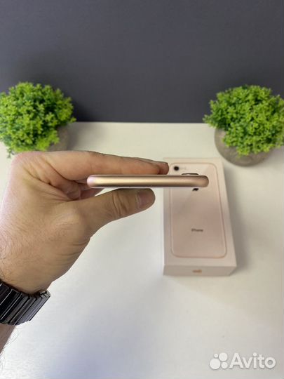 iPhone 8, 64 ГБ