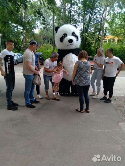 Надувная панда 2.6м. Поздравление, Аниматор