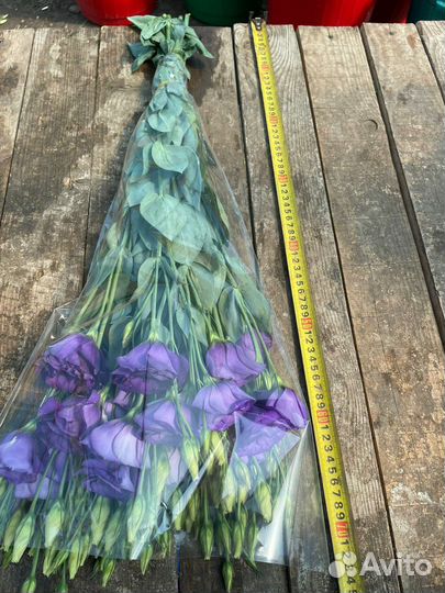 Цветы с доставкой