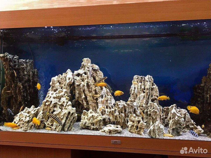 Декор для аквариума,террариума/камни/ракушки/грунт