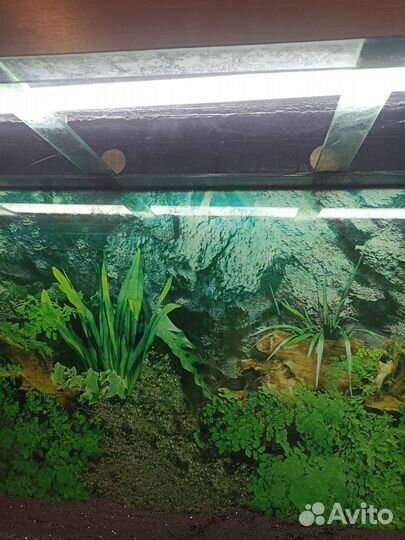 Аквариум с тумбой