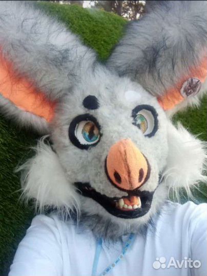 Фурсьют собаки