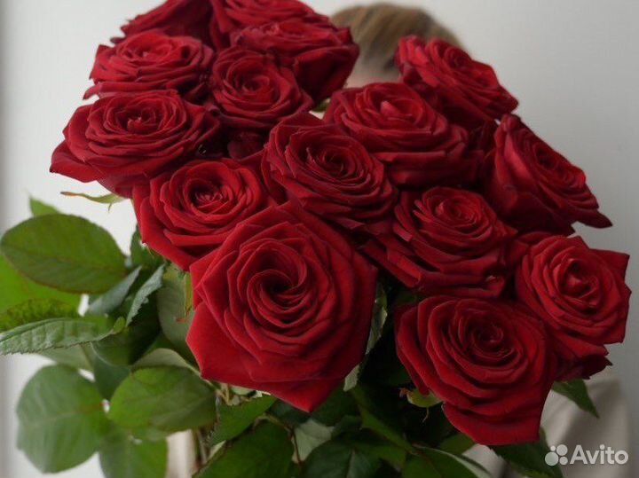 Розы на 8 марта, 101 роза, 10001 роза