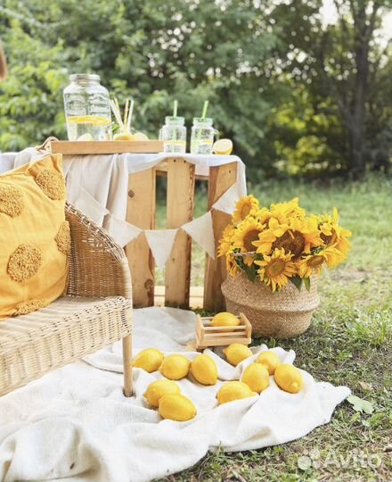 Фотодень 10 сентября пикник & лимонад