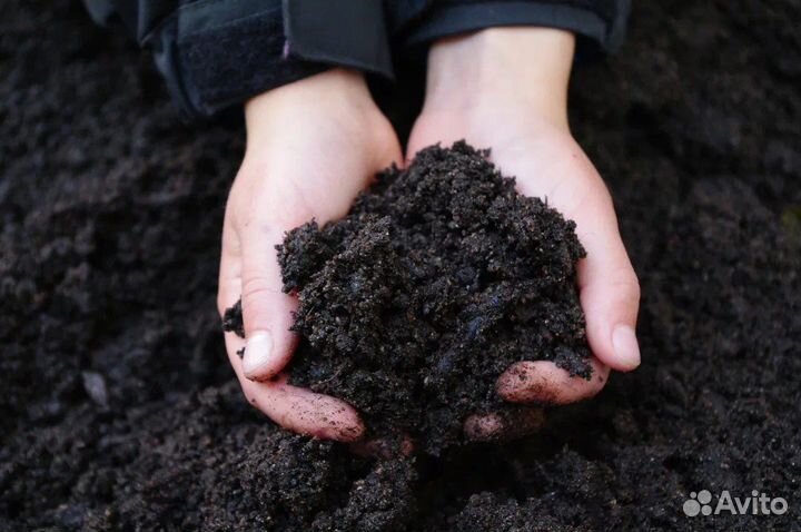 Чернозем, торф, плодородный грунт с доставкой