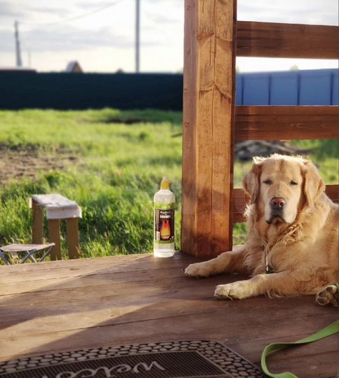 Дача 42 м² на участке 20 сот.