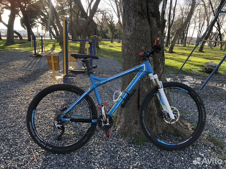 Bergamont metric 7.4