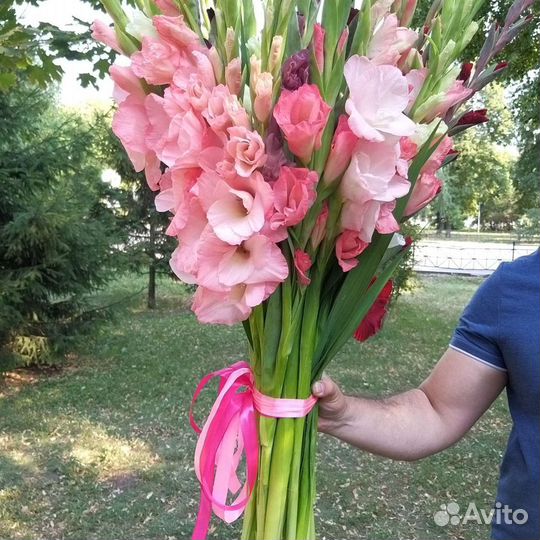 Букет гигант из 35 гладиолусов