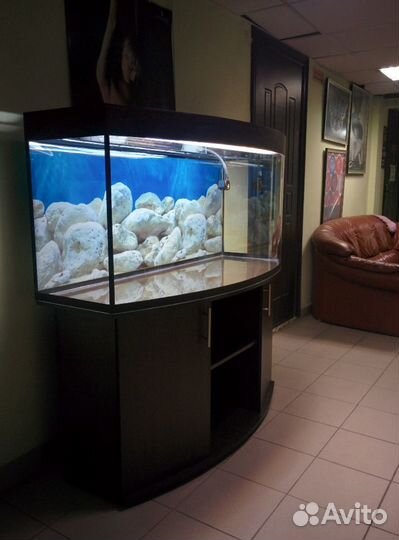 Аквариум 440 полукруглый, биофильтр, свет, тумба