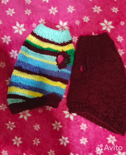 Одежда для сфинкса или маленькой собачки