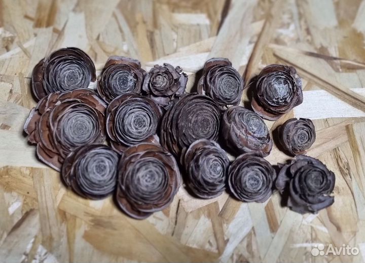 Шишки гиммалайского кедра *розочки (верхушка)