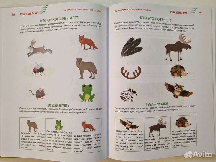 Янушко, Годовой курс развивающих занятий от 4 до 5