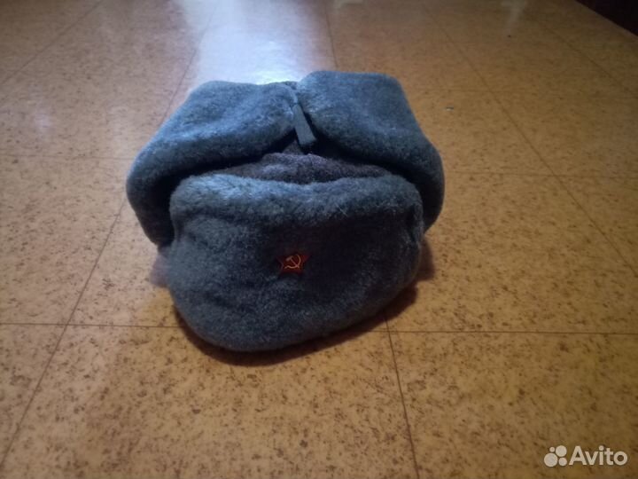 Мабута зимняя