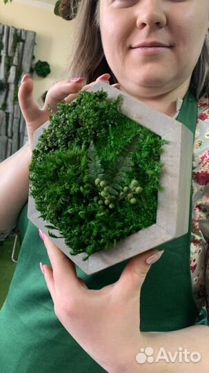 Стабилизированный мох в деревянной форме сота