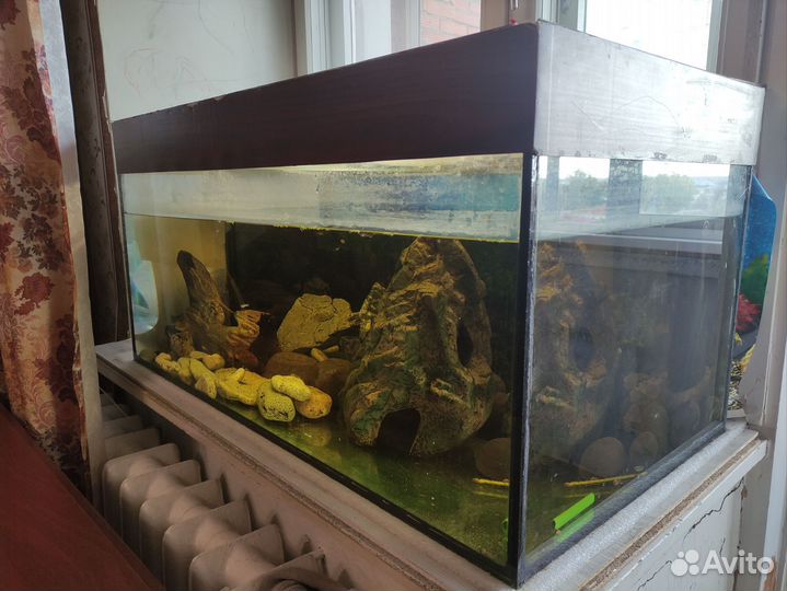 Отдам бесплатно аквариум