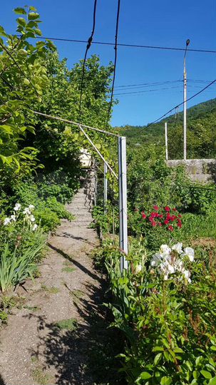 Дом 45 м² на участке 12,3 сот.